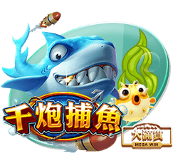 星空足球体育app2025最新版