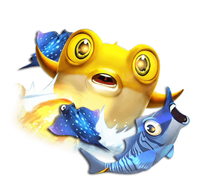 星空足球体育app免费版